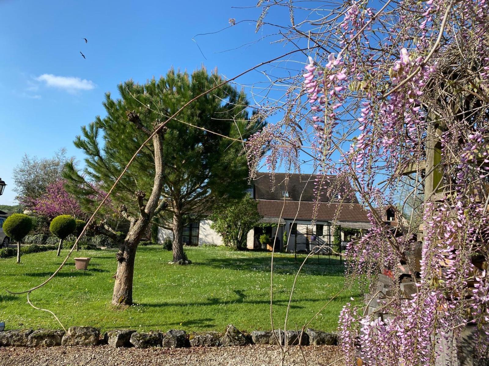 Gite Et Studios Les Barongeres Farges-les-Chalon Buitenkant foto