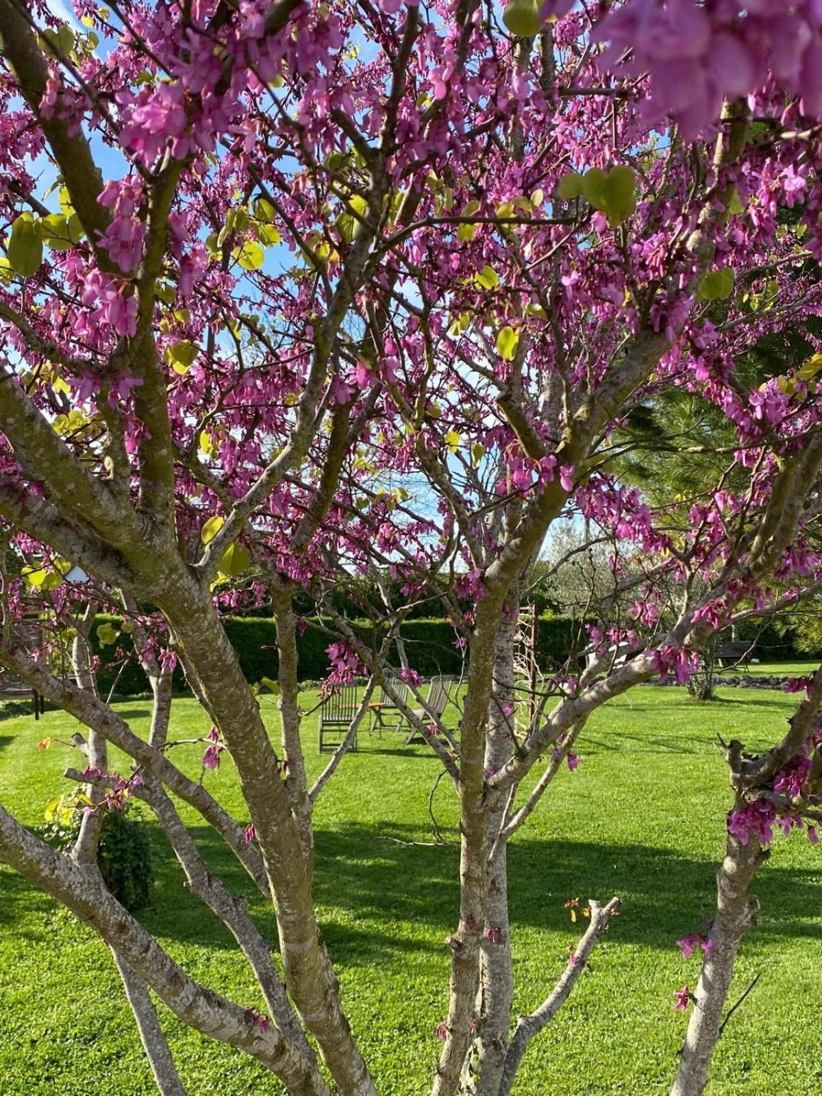 Gite Et Studios Les Barongeres Farges-les-Chalon Buitenkant foto