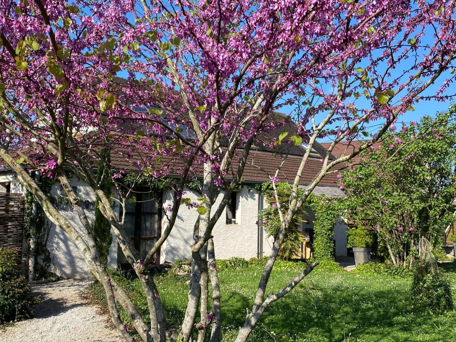 Gite Et Studios Les Barongeres Farges-les-Chalon Buitenkant foto